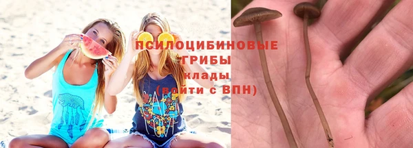 прущая мука Медвежьегорск