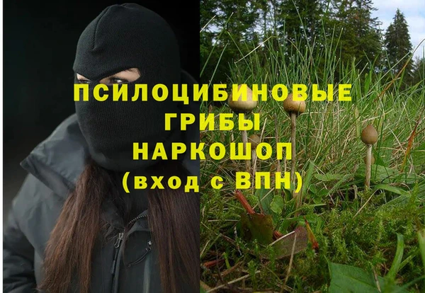 таблы Долгопрудный
