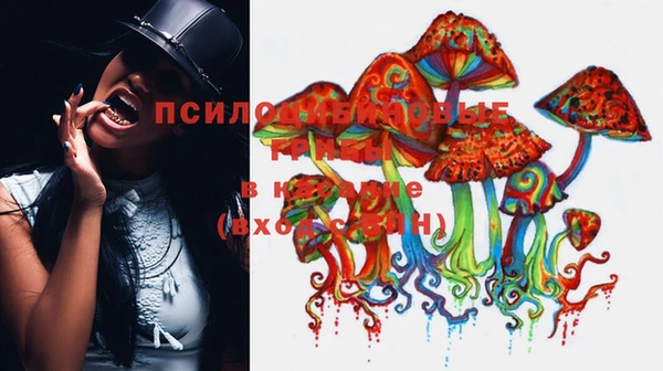 прущая мука Медвежьегорск